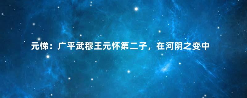 元悌：广平武穆王元怀第二子，在河阴之变中遇害