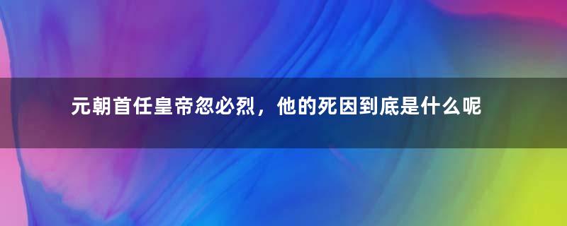 元朝首任皇帝忽必烈，他的死因到底是什么呢？