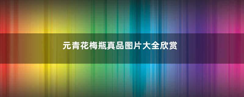 元青花梅瓶真品图片大全欣赏