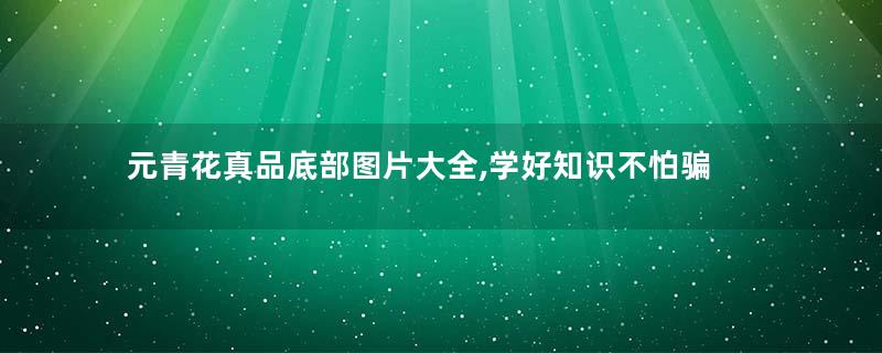 元青花真品底部图片大全,学好知识不怕骗