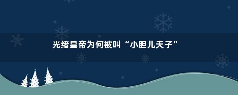 光绪皇帝为何被叫“小胆儿天子”