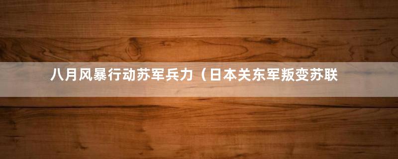 八月风暴行动苏军兵力（日本关东军叛变苏联）