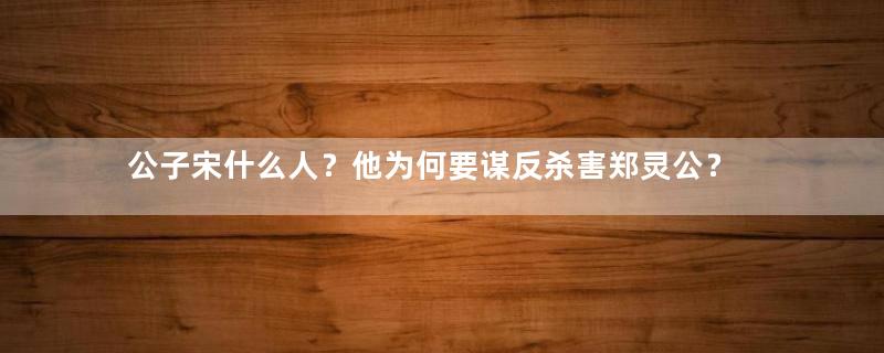 公子宋什么人？他为何要谋反杀害郑灵公？