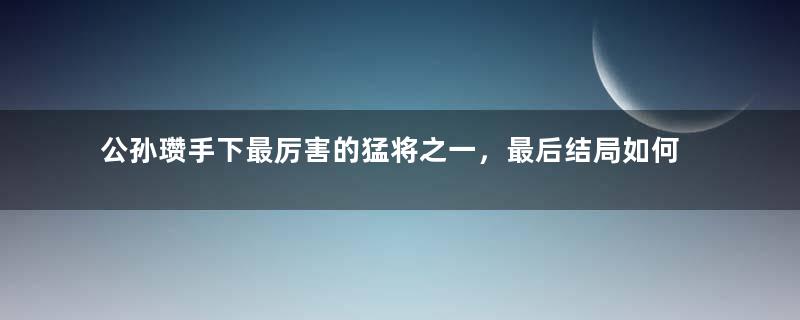 公孙瓒手下最厉害的猛将之一，最后结局如何？