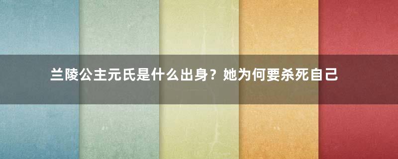 兰陵公主元氏是什么出身？她为何要杀死自己的驸马？