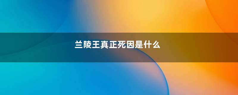 兰陵王真正死因是什么