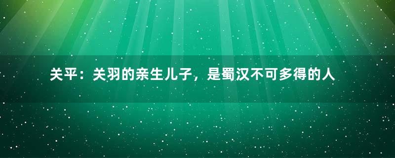 关平：关羽的亲生儿子，是蜀汉不可多得的人才