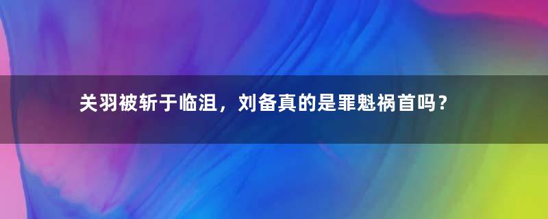 关羽被斩于临沮，刘备真的是罪魁祸首吗？