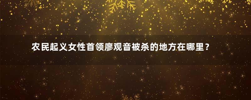 农民起义女性首领廖观音被杀的地方在哪里？成都下莲池