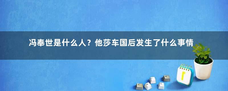 冯奉世是什么人？他莎车国后发生了什么事情