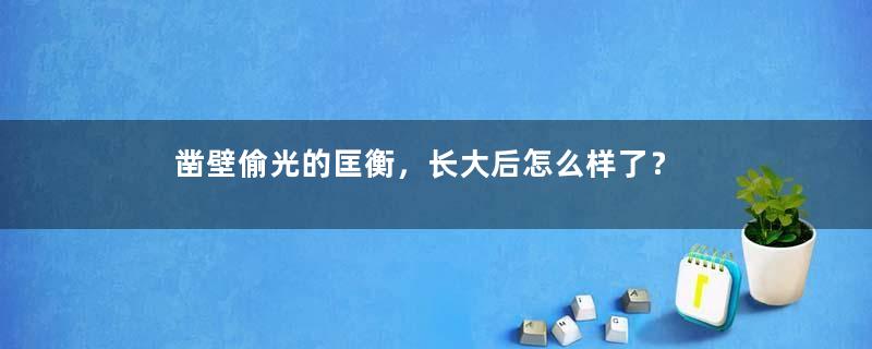 凿壁偷光的匡衡，长大后怎么样了？