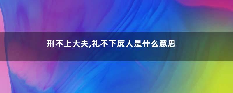 刑不上大夫,礼不下庶人是什么意思