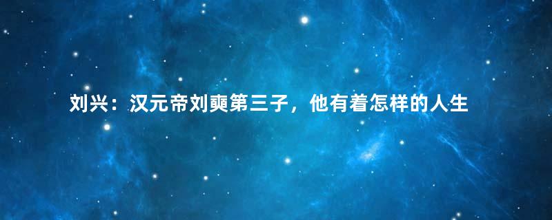 刘兴：汉元帝刘奭第三子，他有着怎样的人生经历？