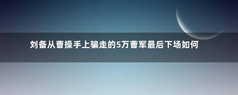 刘备从曹操手上骗走的5万曹军最后下场如何