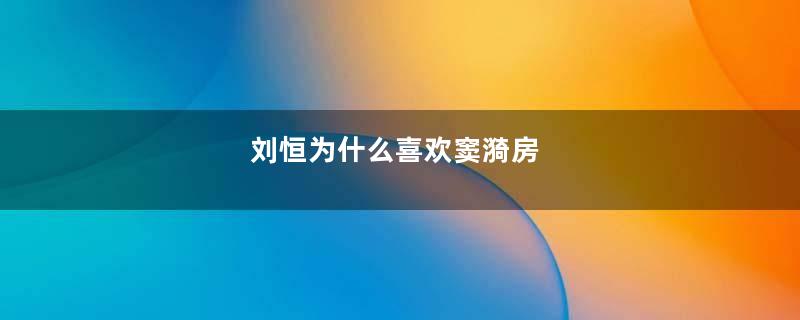 刘恒为什么喜欢窦漪房