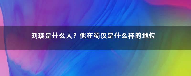 刘琰是什么人？他在蜀汉是什么样的地位