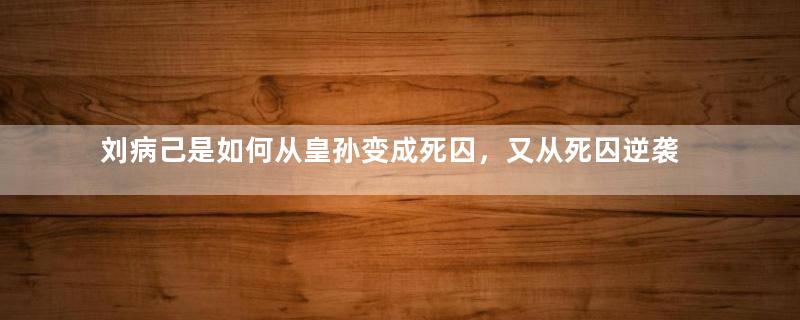 刘病己是如何从皇孙变成死囚，又从死囚逆袭成皇帝的？