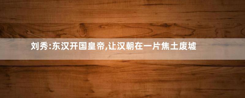 刘秀:东汉开国皇帝,让汉朝在一片焦土废墟中重新兴起