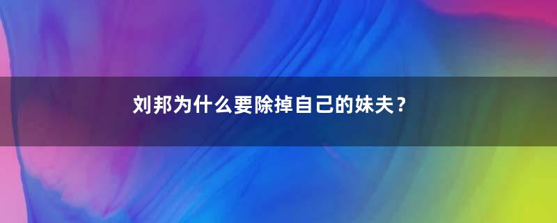 刘邦为什么要除掉自己的妹夫？