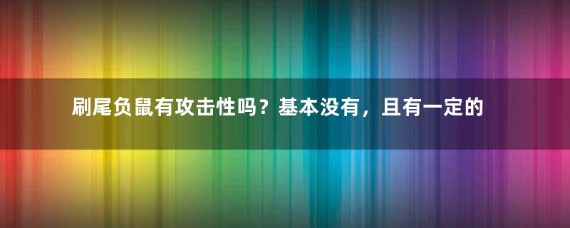 刷尾负鼠有攻击性吗？基本没有，且有一定的驯服性