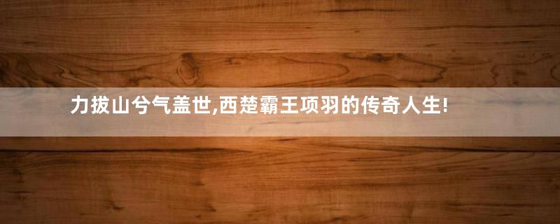 力拔山兮气盖世,西楚霸王项羽的传奇人生!