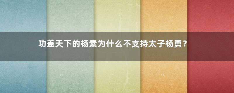 功盖天下的杨素为什么不支持太子杨勇？