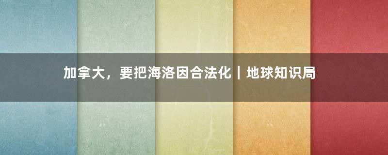 加拿大，要把海洛因合法化｜地球知识局