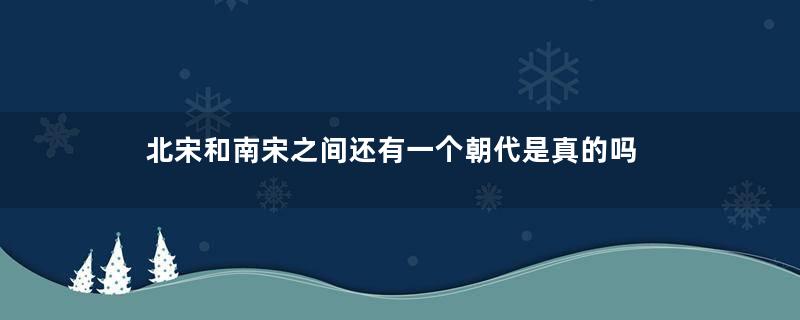 北宋和南宋之间还有一个朝代是真的吗