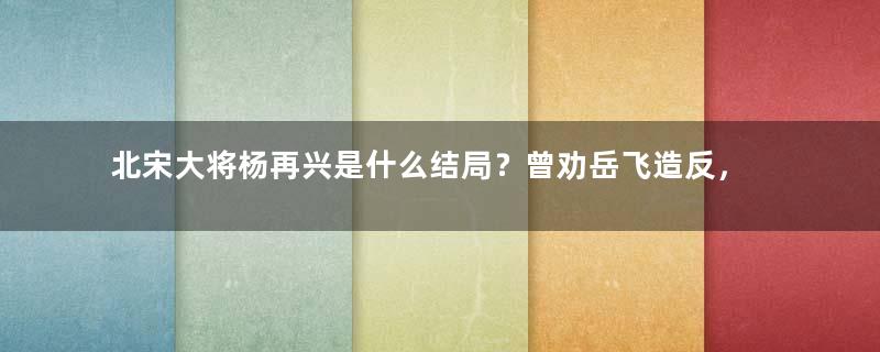 北宋大将杨再兴是什么结局？曾劝岳飞造反，还杀了岳飞的亲弟弟