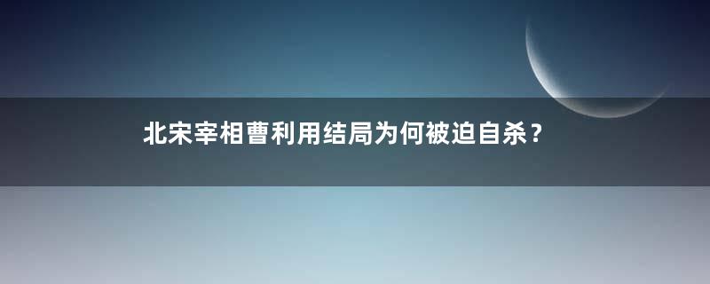 北宋宰相曹利用结局为何被迫自杀？