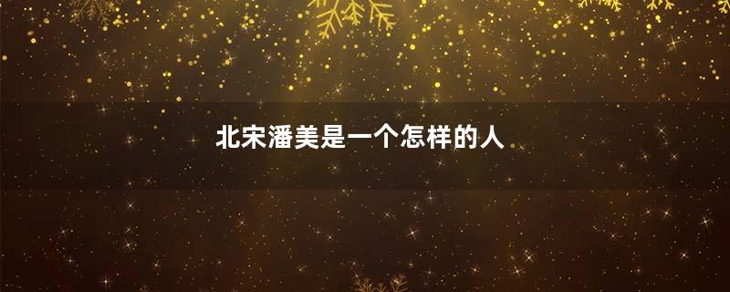 北宋潘美是一个怎样的人