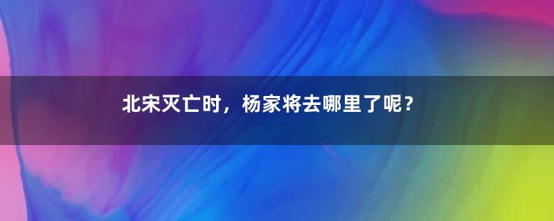 北宋灭亡时，杨家将去哪里了呢？