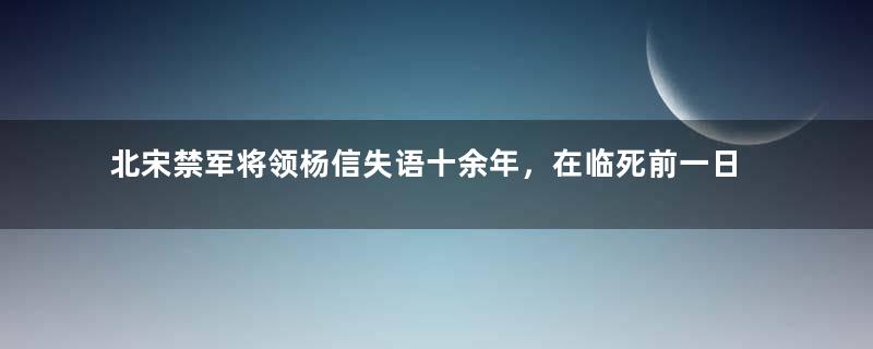 北宋禁军将领杨信失语十余年，在临死前一日突然开口讲话？