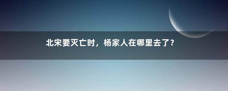 北宋要灭亡时，杨家人在哪里去了？