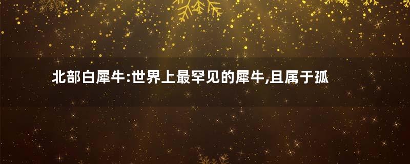 北部白犀牛:世界上最罕见的犀牛,且属于孤单物种