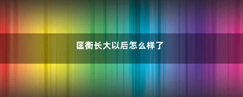 匡衡长大以后怎么样了