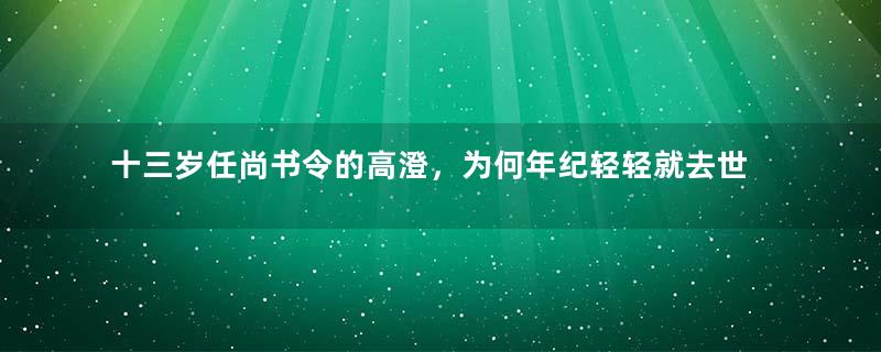 十三岁任尚书令的高澄，为何年纪轻轻就去世了？