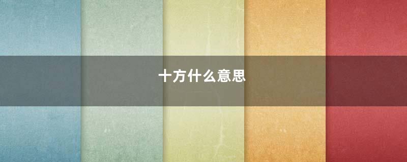十方什么意思