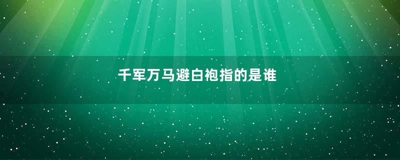 千军万马避白袍指的是谁