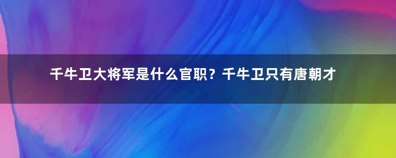 千牛卫大将军是什么官职？千牛卫只有唐朝才有吗