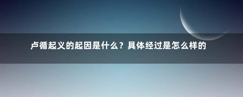 卢循起义的起因是什么？具体经过是怎么样的？