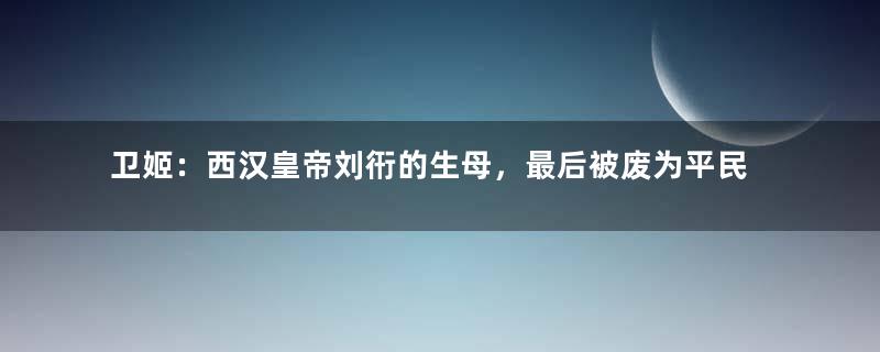 卫姬：西汉皇帝刘衎的生母，最后被废为平民