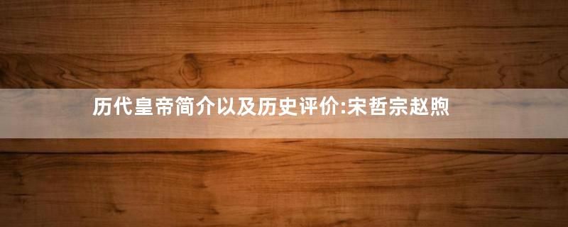 历代皇帝简介以及历史评价:宋哲宗赵煦
