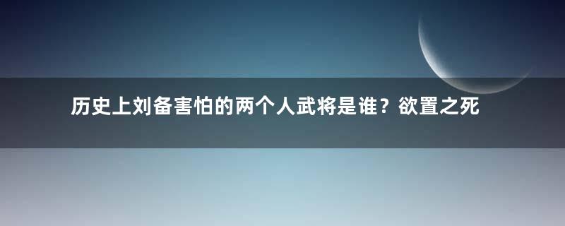 历史上刘备害怕的两个人武将是谁？欲置之死地而后快