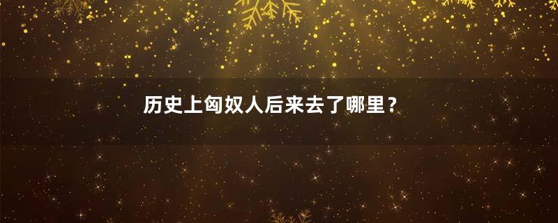 历史上匈奴人后来去了哪里？