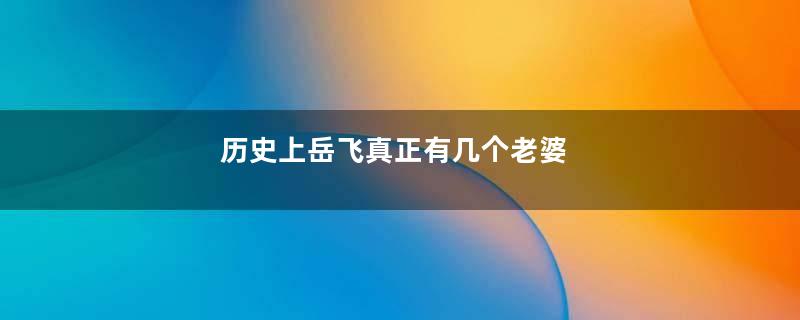 历史上岳飞真正有几个老婆