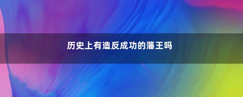 历史上有造反成功的藩王吗