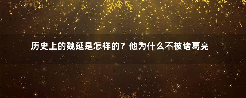 历史上的魏延是怎样的？他为什么不被诸葛亮重用？