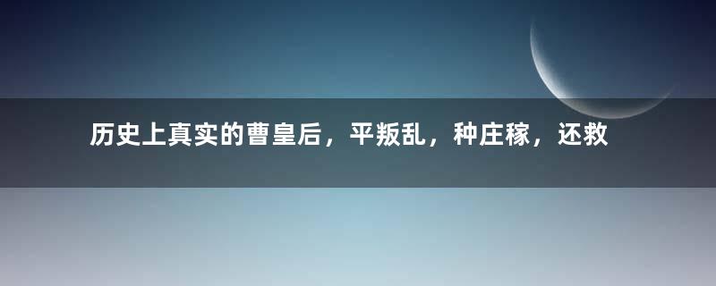 历史上真实的曹皇后，平叛乱，种庄稼，还救过苏轼