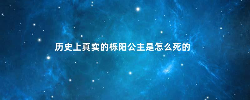 历史上真实的栎阳公主是怎么死的